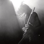 La Nef 2010-2011